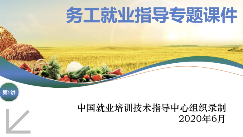 务工就业指导（1-41讲）